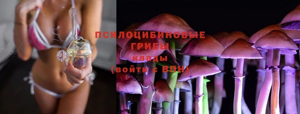 шишки Киреевск