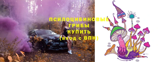 шишки Кинешма
