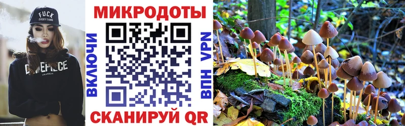 Купить  Бугуруслан  Псилоцибиновые грибы прущие грибы 